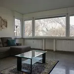 Colli